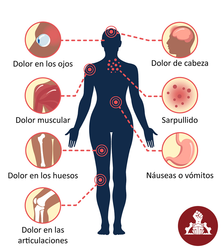 portal ciudadano sintomas generales dengue00
