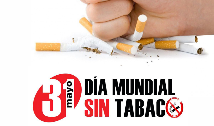 portal ciudadano no al tabaquismo 02