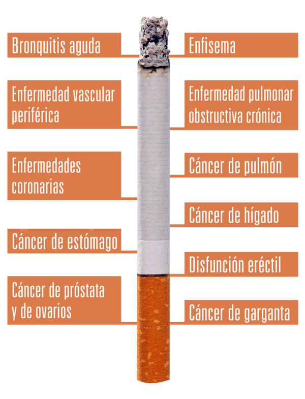 portal ciudadano no al tabaquismo 03